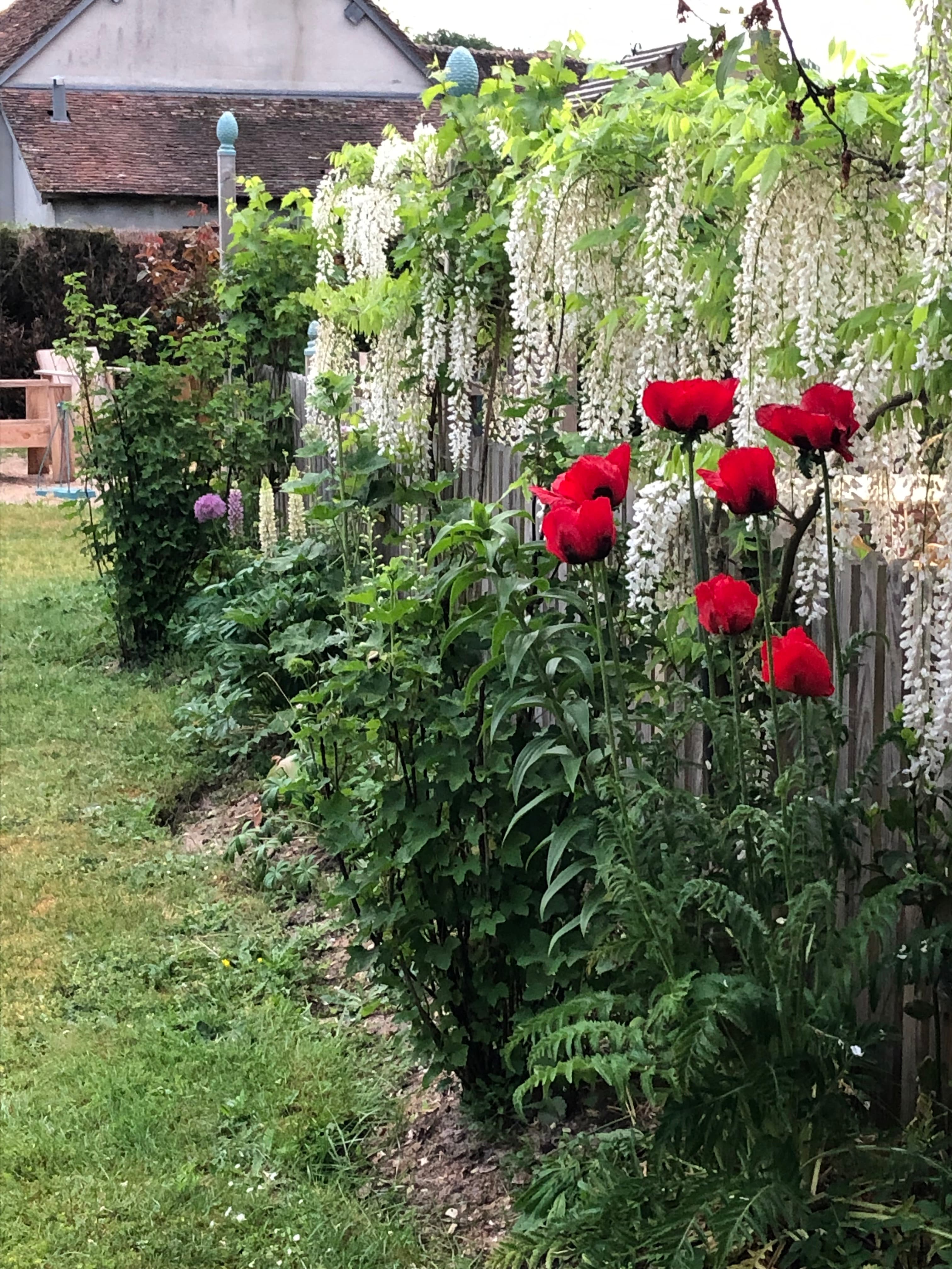 Le Clos du Ru - Image 2